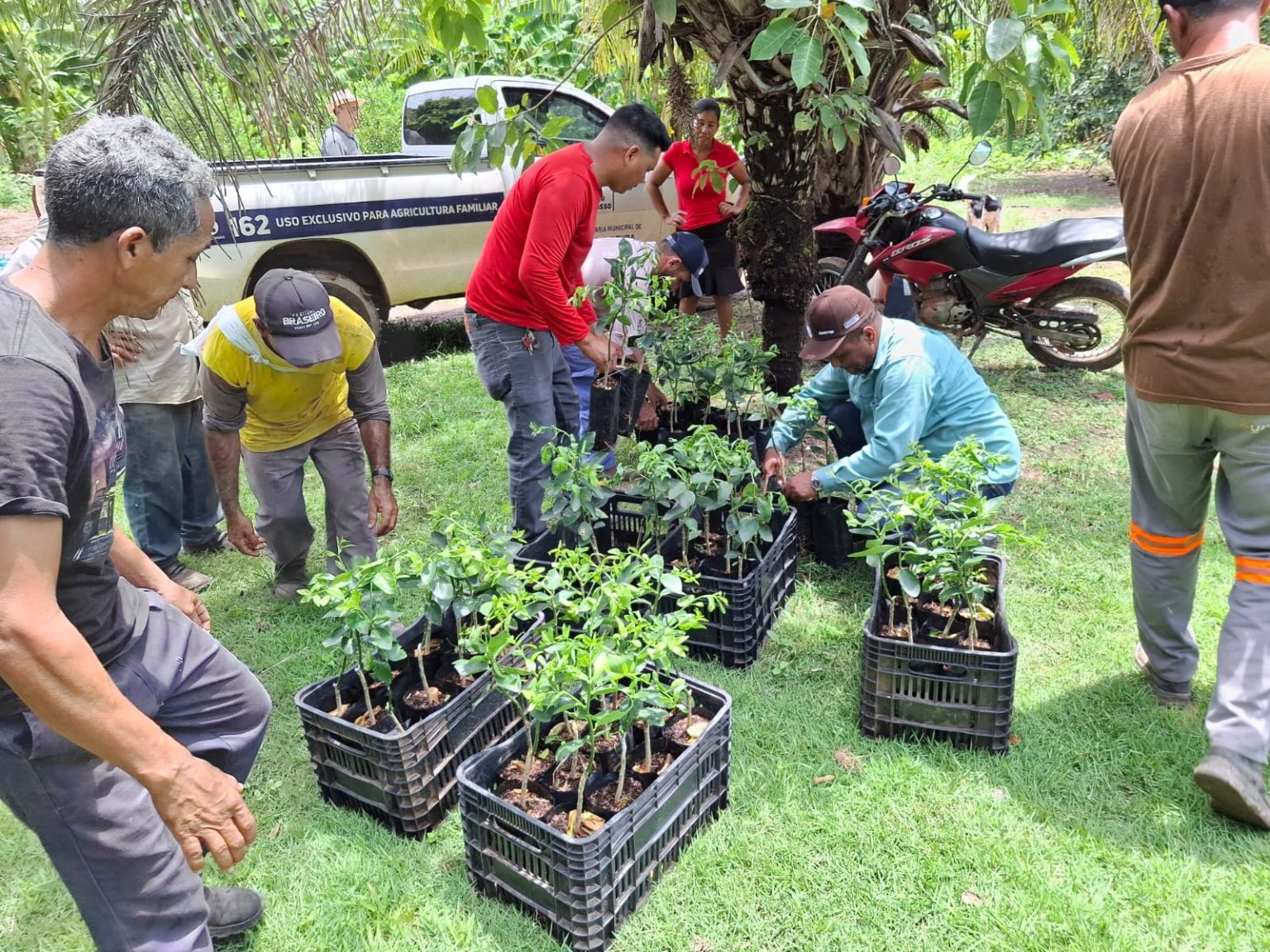 Parceria para o Fortalecimento da Agricultura Familiar Em Barra do Bugres